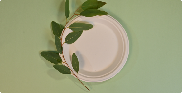 Sustainable fibre packaging