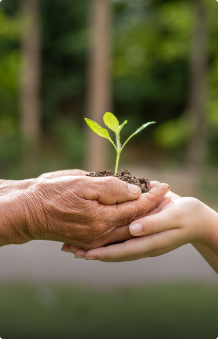 Sustainability